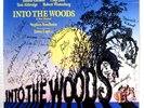 Sondheim INTO THE WOODS LP SIGNED by 19 Cast Members Bernadette Peters A 4900