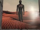 Vinyl Dark Divine by Like Moths To Flames