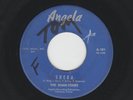 SURF EXOTICA bw/ ROCKABILLY INSTROS - 45  SHAN-TONES - SHEBA - HEAR 1963 ANGELA
