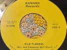 Freaky Garage Psych Private 45 Nick Bartell Wild Flowers / The Chair VG+ HEAR