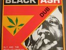 Sly & The Revolutionaries - 