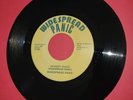 WIDESPREAD PANIC single MONKEY IMAGE georgia rock COCONUT IMAGE SPACE BABY 1986