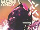 VARIOUS - We Remember Bob Andy - Vinyl (LP)