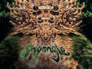 Shpongle Codex VI (Vinyl) 12