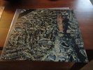 SIOUXSIE & THE BANSHEES - JuJu - Lp - 1st Press - 1981   - Joy Division