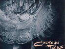 Cocteau Twins - Treasure - Reissue (NEW 12