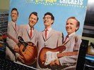 THE CRICKETS (BUDDY HOLLY).  