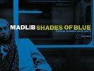 Shades of Blue by Madlib  Vinyl Lp New & Sealed