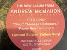 Andrew McMahon in the Wilderness Upside Down Flowers  (Vinyl)  12