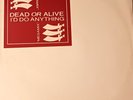 Dead Or Alive - Id Do Anything - White Lable Promo 12. UK
