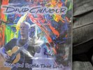 David Gilmour Keep On , Rattle That Lock LP Colored Limited Soundboard LP