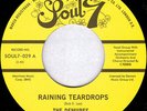 The Demures - Raining Teardrops / The Sly The Slick And The Wicked  - H4593A