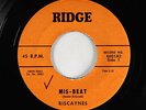 Garage Surf Rockabilly Inst. 45 - Biscaynes - Mis-Beat - Ridge - VG++ mp3