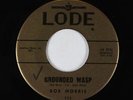 Surf Inst. 45 - Bob Morris - Grounded Wasp - Lode - mp3 - obscure