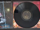 All my friends were glorious - Panic at the disco Vinyl Record