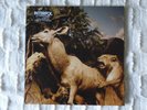 Interpol – Our Love To Admire (vinyl, 2007)