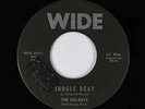 Surf Inst./Doo-Wop 45 - Del-Rays - Jungle Beat - Wide - mp3