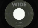 Surf Inst. 45 - Del-Rays - Radar - Wide - mp3