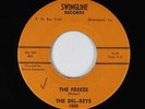Rockabilly R&B Inst. 45 - Del-Reys - The Freeze - Swingline - VG+ mp3 - obscure