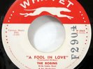 the ROBINS 45 All of a Sudden My Heart Sings WHIPPET Original Doowop VG+ Kz 1273