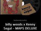 billy woods x Kenny Segal - MAPS DELUXE Deluxe 2xLP Vinyl, 7x7 Booklet PRESALE.