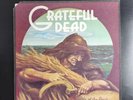 Grateful Dead Wake of the Flood LP GD-01 Vinyl Record 1973 All Original