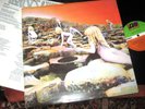LED ZEPPELIN -    Houses Of The Holy,        RARE ORIGINAL 1973 UK LP / inner