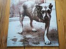 Alice In Chains - Self-Titled (Tripod) - Limited 2xLP Vinyl - EU Repress - Rare