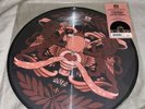 Atmosphere/The Uncluded Someday Soon/BATS Picture Disc Vinyl USED RSD 2012