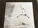 The Duckworth Lewis Method Sticky Wickets Divine Comedy Vinyl Record