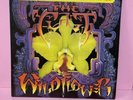 The Cult Wildflower  Vinyl Lp 12