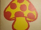 Mushroom Psych Vol 1 Vinyl Shigeru Narumo (Strawberry Path, Flied Egg) Juni Rush