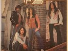 Thin Lizzy - Fighting, Vertigo, Vinyl, LP, Album, Terre Haute Pressing (1975)