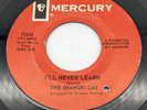 45 The Shangri-Las - The Sweet Sounds Of Summer / I'll Never Learn Mercury 72645
