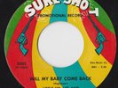 GROUP SOUL 45 by LITTLE MR. LEE & THE CHEROKEES HEAR IT