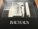 Bauhaus - In the flat field - 4-AD Records 1980 1st Press  Lyric inner sleeve