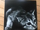 CINDY - Cindy lp s/t  original issue 2018