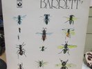 SYD BARRETT U.K. IMPORT RECORD 