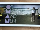 Of Monsters And Men Gold Platin Award ( goldene Schallplatte ) Little Talks
