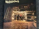 Blossoms - Self Titled Debut - Gatefold Black LP - 2016 - New, Never Played
