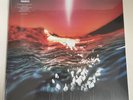 BONOBO 12