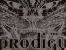 THE PRODIGY Charly Vinyl Record Single 12 Inch XL 1991 & Electronic Dance Music