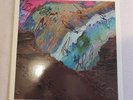 St Paul and the Broken Bones The Alien Coast SIGNED AUTOGRAPHED Vinyl LP Record