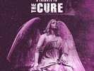 Various Artists Just Like Heaven: A Tribute to the Cure (Vinyl)