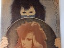 Dead Or Alive - Number 11 - UK 7