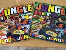 Various - Jungle Hits Volume 2 and 3 (2xLP, Comp)plus ragga in the jungle x2 lp