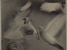 DONALD BYRD: Free Form US Blue Note 4118 Jazz OG Mono NY Vinyl LP