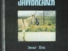 Dear You by Jawbreaker (Record, 2016) SEALED LP VINYL