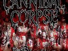 Cannibal Corpse The Bleeding (Vinyl)