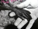 DEAD KENNEDYS - Plastic Surgery Disasters (Vinyl LP) 2017 MFO42901 NEW / SEALED